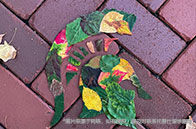 新加坡國立大學一年學費多少？