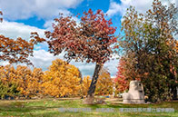 英國大學QS排名未來趨勢解讀