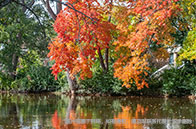 ubc研究生申請難度大不大？