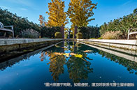 新加坡留學(xué)花費多嗎？