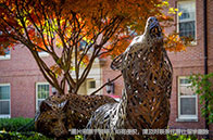 大批留學生回國發展，海歸回國享受哪些優勢？