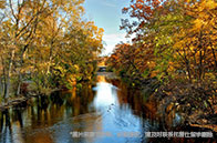 加拿大留學(xué)簽證變革開啟，封閉式學(xué)簽上臺(tái)