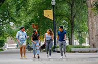 麥吉爾大學(xué)軟件工程專業(yè)學(xué)費多少錢？