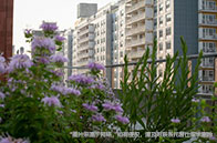 加州大學戴維斯分校學費多少錢？