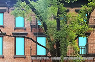 高考生如何申請新加坡國立大學？