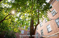 去加拿大留學(xué)需要多少錢？