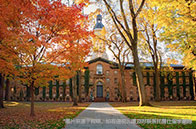 警惕！新加坡大學校內轉租或取消學籍