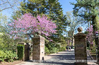 新！2025USnews世界大學排名榜單解析