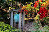 布蘭迪斯大學申請要求有哪些？