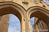 帝國理工學院公共衛生碩士課程設置