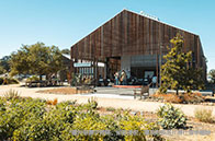 約克大學利用3D打印技術感受花粉世界