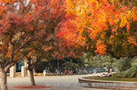 NTU商學(xué)院熱門(mén)碩士項(xiàng)目有哪些？