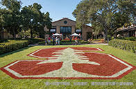 NUS本科有可持續相關專業嗎？