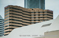 MIT生物專業研究什么？