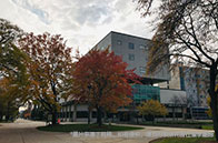 申請美本必須有競賽背景嗎？