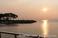 佛羅里達大學秋季學期預開設新課程