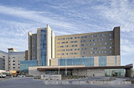 科普篇|多倫多大學申請流程