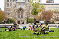 接受雅思拼分的加拿大大學有哪些？