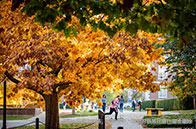 杜倫大學測量實驗室正式啟動