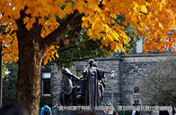 為什么選擇去國外留學？