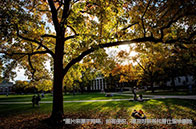 國際高中生如何規劃美本申請？