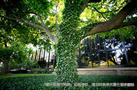 牛津大學入學考試承辦單位公布:Pearson VUE