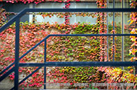 英國電子電氣工程含金量解析