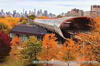 咨詢如何準備申請耶魯大學？