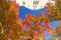 賓州州立大學最新qs排名怎么樣？