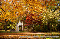 NUS推出中文授課碩士項目：高級公共行政管理碩士