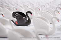 新加坡國立大學研究型項目招生人數統計