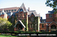 如何規(guī)劃申請帝國理工商學院？