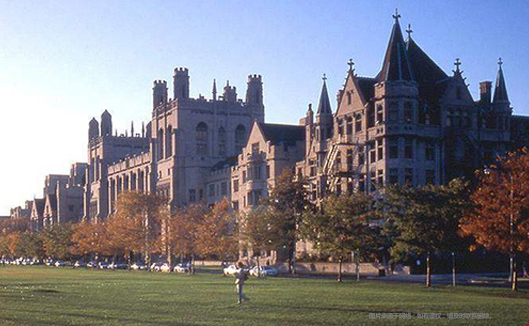 美國西北大學學科排名.png 美國西北大學學科排名.png