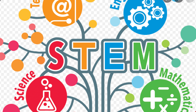 美國STEM學位如何.png 美國STEM學位如何.png