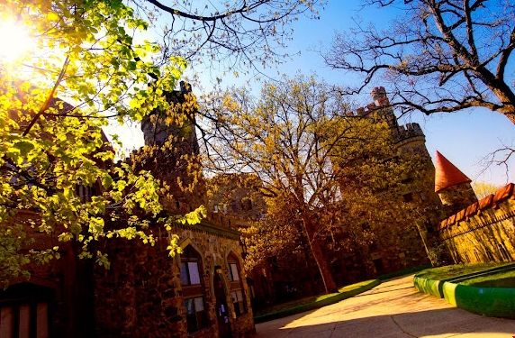 布蘭迪斯大學商學院申請要求.png 布蘭迪斯大學商學院申請要求.png