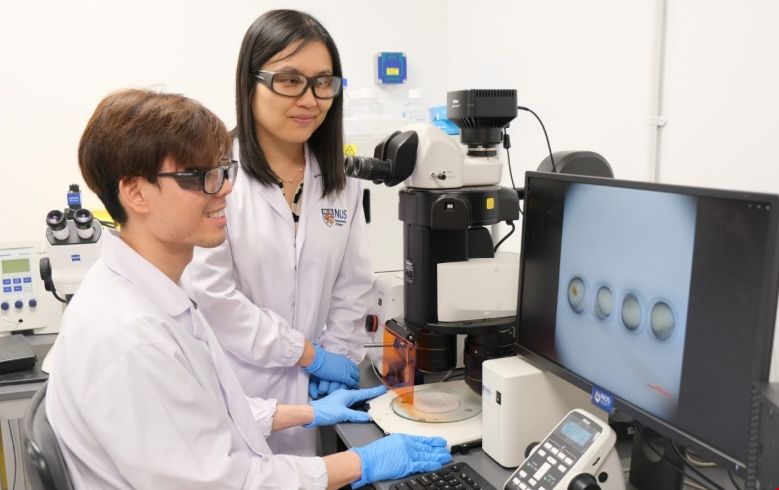 NUS最新研究:利用斑馬魚胚胎培養人類諾如病毒.png NUS最新研究:利用斑馬魚胚胎培養人類諾如病毒.png