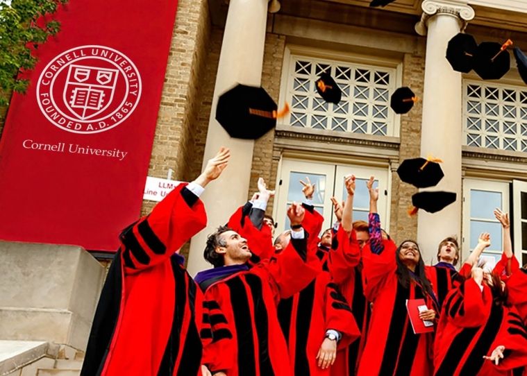康奈爾大學畢業(yè)生.png 康奈爾大學畢業(yè)生.png