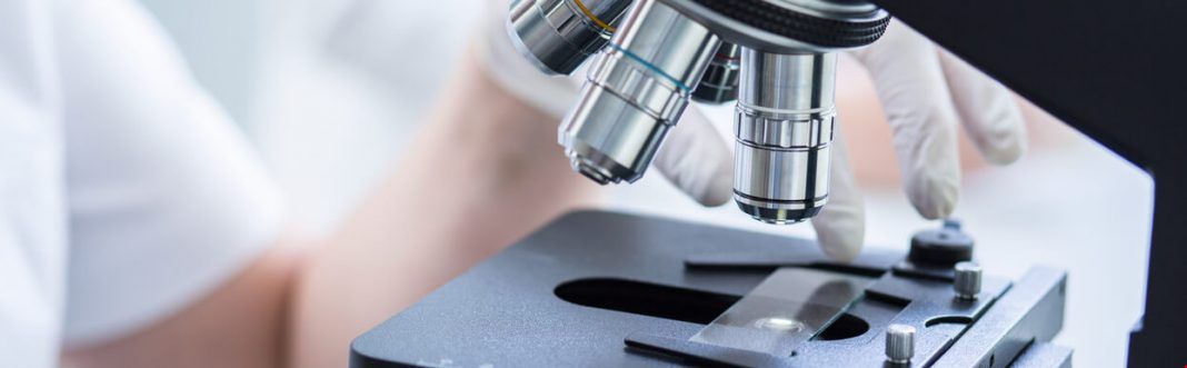 英國留學生物專業入學條件.jpg 英國留學生物專業入學條件.jpg