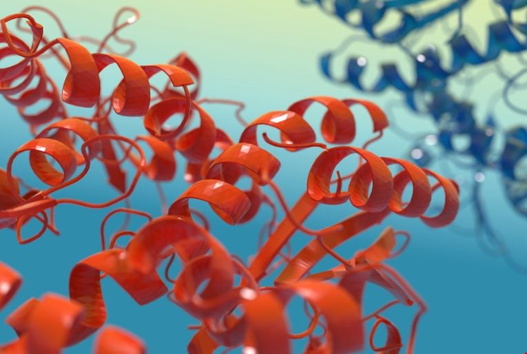 MIT研究發(fā)現(xiàn)蛋白質有助開發(fā)新的抗生素.png MIT研究發(fā)現(xiàn)蛋白質有助開發(fā)新的抗生素.png